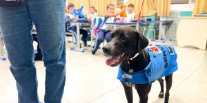 Foto: A ação será ampliada no decorrer do ano para as 53 escolas municipais e os