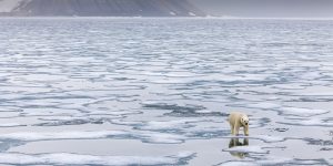 Patrick J. Endres/Gettyimages