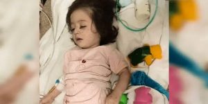 Foto: 1 de 3 Helma foi levada ao hospital para observação após ser retirada dos