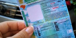 m colorida mostra CNH. Metrópoles