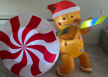 A Fantastica Fabrica do Papai Noel - Fotos de UniEnsino (1)