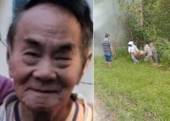 Ataque de abelhas causa morte de idoso em Registro, SP