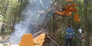 Avião monomotor cai em plantação em Tambaú, SP