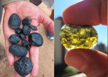 Alvaro Crósta/ Unicamp