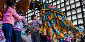 Boi de Mamao Mandicuera - Foto Day Luiza