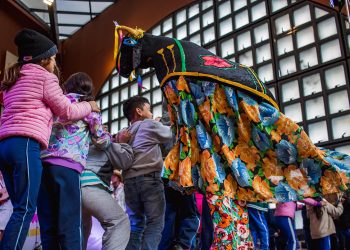 Boi de Mamao Mandicuera - Foto Day Luiza