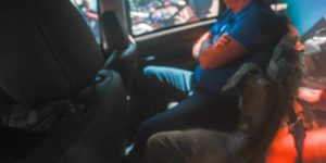 Luis Nova/Especial Metrópoles @LuisGustavoNova