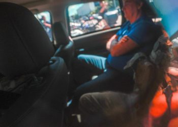 Luis Nova/Especial Metrópoles @LuisGustavoNova