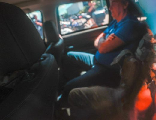 Luis Nova/Especial Metrópoles @LuisGustavoNova