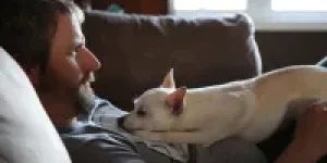 Cachorro-branco-pequeno-de-orelhas-pontudas-deitado-no-peito-de-seu-dono-um-homem-branco-com-cavanhaque-e-bigode-e1790000717528