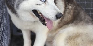 Foto: (Foto: Hully Paiva/Secom)