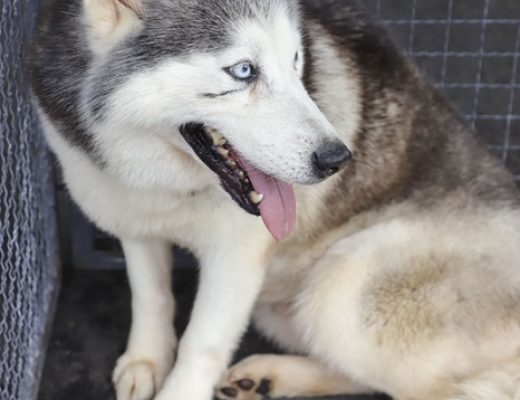 Foto: (Foto: Hully Paiva/Secom)