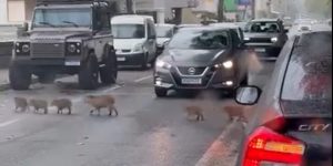 Reprodução/Jornalista Luiz Henrique Fogaça