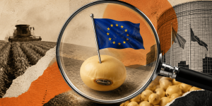ChatGPT-Image-24-de-jul.-de-2026-20_54_56