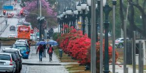 José Fernando Ogura/Arquivo AEN