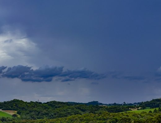 Roberto Dziura Jr/AEN