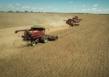 Wenderson Araujo/CNA