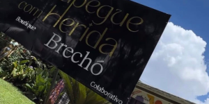 crédito: divulgação