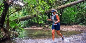 Discover Trail Palmeira - Jonatan_Motta.jpg