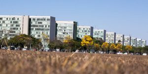 Rafaela Felicciano/Metrópoles