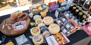 Feira Sou Sul 2026 - Fotos Inove
