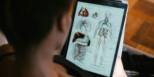 Foto de pexels-rethaferguson-