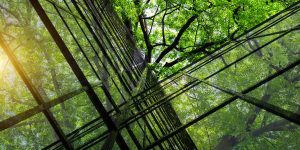 Semana Verde da UE 2026: Investindo em uma economia positiva para a natureza