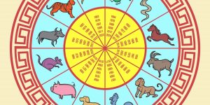 Horóscopo Chinês para 24 de fevereiro de 2026