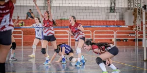 Foto: Logo PARANÁ PORTAL 60