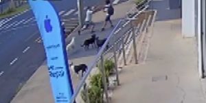 Câmera de Segurança