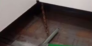 Quando uma confusão com cobra leva bombeiros a agir