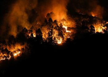 Carlos Castro/Europa Press via Getty Images
