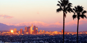 Wide shot of Los Angeles with palm trees in the foreground.