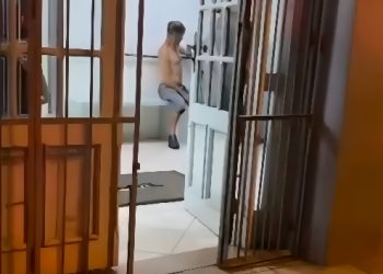 Tragédia familiar: homem mata irmão por briga de gatos