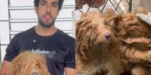 Julinho Casares realiza resgate de cachorro em situação de maus-tratos