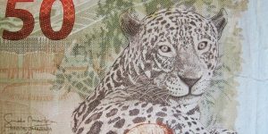 Lista de melhores bancos para financiar casa ou carro no Brasil