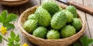 Maxixe-conheca-os-beneficios-e-aprenda-a-preparar-este-vegetal-poderoso-e-subestimado-1