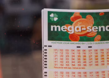 rafaelnlins / Shutterstock.com