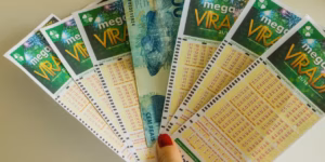 rafaelnlins / Shutterstock.com