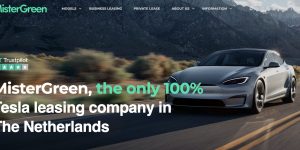 Desvalorização das Teslas leva empresa a falência em 2025