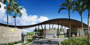 Noticias-Capa-Discover-Google-4-2