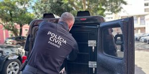 Natália Bezerra/PCPR