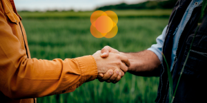 Pagamento-juros-ao-capital-Cresol-rfwto34aby5m2ke26aqqsri2ht768352fefsfngbvs