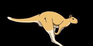 Divulgação/Megan Jones