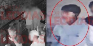 Casos de vandalismo e maus-tratos em SC levantam polêmica