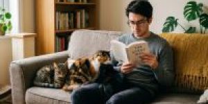 Por-que-os-gatos-preferem-pessoas-que-os-ignoram-A-ciencia-explica