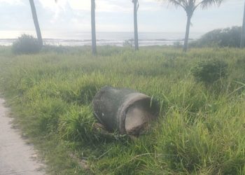 Serviço terceirizado em Matinhos gera destruição da restinga e críticas