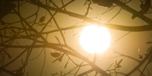 Previsao-aponta-para-calor-extremo-para-o-fim-de-semana.-Onda-de-calor-se-intensifica-e-Brasilia-deve-bater-recordes-de-temperatura-baixa-humidade-seca-Metropoles-15-scaled-1