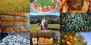 Produtos com IG (foto montagem Sebrae PR)