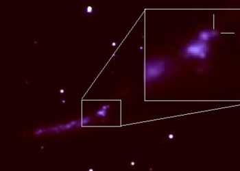 The supernova SN 2022esa as seen by the Subaru telescope